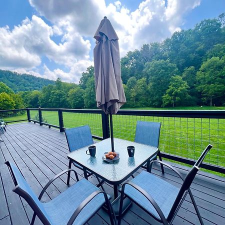 Firefly Fields 2-Acres With Guest House, Game Room, Mountain & River Views Сев'єрвілл Екстер'єр фото