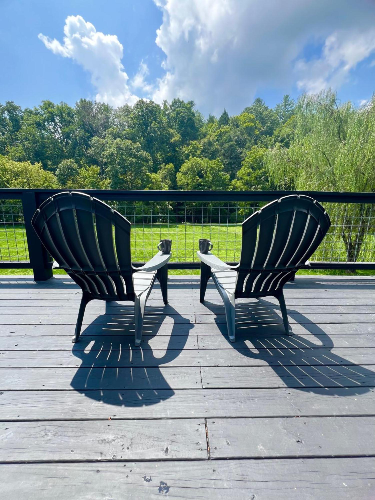 Firefly Fields 2-Acres With Guest House, Game Room, Mountain & River Views Сев'єрвілл Екстер'єр фото